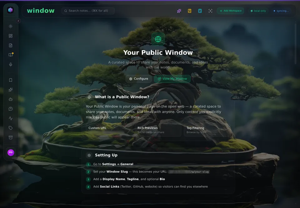Your Public Window: configure/view, and the Custom URL, Rich Previews, and Tag Filtering controls